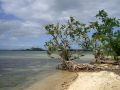 Perfektes Südsee-Feeling auf Pangaimotu, der traumhaften Atoll-Insel in der Lagune vor Tongas Hauptstadt Nuku Alofa.