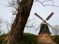 Die Holländer-Windmühle von Stove, Baujahr 1889, Höhe 15 Meter - Molenbarg zwischen Wismar und Neubuckow am Salzhaff gegenüber der Insel Poel
