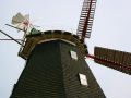 Die Holländer-Windmühle von Stove mit einem Flügeldurchmesser von 22 Metern - Molenbarg zwischen Wismar und Neubuckow am Salzhaff gegenüber der Insel Poel