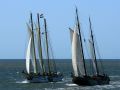 Maritime Waddenzee - historische Segler im Wattenmeer zwischen Harlingen und Terschelling