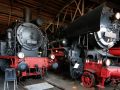 Das Eisenbahnmuseum Schwarzenberg im Erzgebirge - die Dampflokomotive 75 501 und Güterzugdampflokomotive 52 8183-7 im Heizhaus