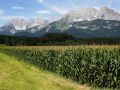 Das Kaisergebirge - der Blick auf den Wilden Kaiser von Oberndorf in Tirol