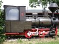 Das Bayerische Eisenbahn Museum in Nördlingen - die Tenderlokomotive Schmalspur 700 mm 'Grüner Heiner', Baujahr 1929