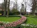 Der Keukenhof in Lisse nahe Amsterdam, ein Tulpen-Paradies