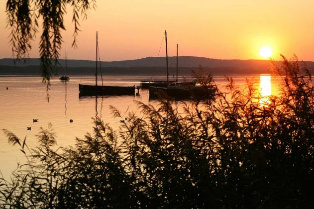 Steinhuder Auswanderer-Boote zum Sonnenuntergang - das abendliche Farbenspiel über dem Steinhuder Meer Steinhuder Auswanderer-Boote zum Sonnenuntergang - das abendliche Farbenspiel über dem Steinhuder Meer