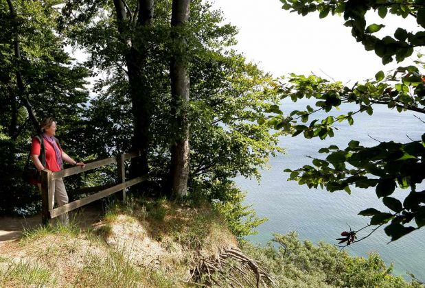 Møns Klint, der obere Klippenweg oberhalb der berühmten Kreidefelsen. Møns Klint, der obere Klippenweg oberhalb der berühmten Kreidefelsen.