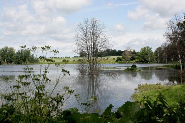 Schloss Aalholm, Ålholm Slot, - ein naturnaher Teich im Schlosspark nördlich des Nysted Nor Schloss Aalholm, Ålholm Slot, - ein naturnaher Teich im Schlosspark nördlich des Nysted Nor