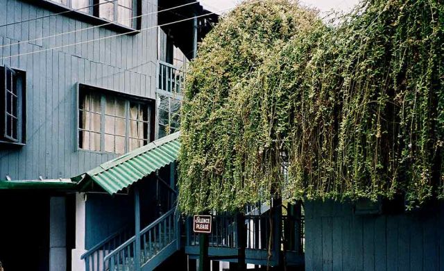 Jaldapara Nationalpark - der Eingang der Hollong Forest Lodge Jaldapara Nationalpark - der Eingang der Hollong Forest Lodge