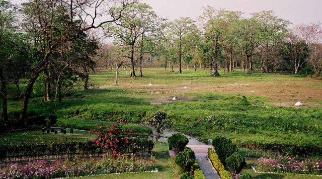 Jaldapara Nationalpark - der Blick aus unserem Zimmerfenster der Hollong Forest Lodge Jaldapara Nationalpark - der Blick aus unserem Zimmerfenster der Hollong Forest Lodge