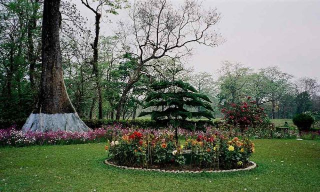 Jaldapara Nationalpark - Blumenrabatte vor der Hollong Forest Lodge Jaldapara Nationalpark - Blumenrabatte vor der Hollong Forest Lodge
