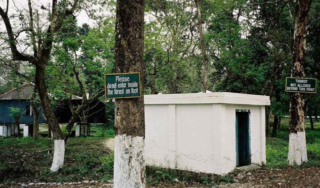Jaldapara Nationalpark - hinter der Hollong Forest Lodge ist das Betreten des Waldes aus Sicherheitsgründen wegen der dortigen Raubkatzen tabu Jaldapara Nationalpark - hinter der Hollong Forest Lodge ist das Betreten des Waldes aus Sicherheitsgründen wegen der dortigen Raubkatzen tabu