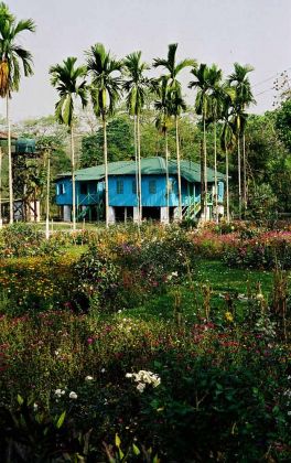 Jaldapara Nationalpark - die Forstverwaltung nahe der Hollong Forest Lodge Jaldapara Nationalpark - die Forstverwaltung nahe der Hollong Forest Lodge