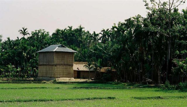 Reisfelder in Hollong Village nahe des South Gates des Jaldapara Nationalparks Reisfelder in Hollong Village nahe des South Gates des Jaldapara Nationalparks