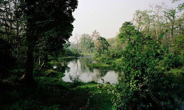 Jaldapara-Nationalpark - die Landschaft vor der Jaldapara Tourist Lodge in Madarihat Jaldapara-Nationalpark - die Landschaft vor der Jaldapara Tourist Lodge in Madarihat
