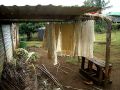 Manuelle Herstellung der begehrten und kostbaren &#039;Tapa Cloth - Pangai, Insel Eua, Königreich Tonga
