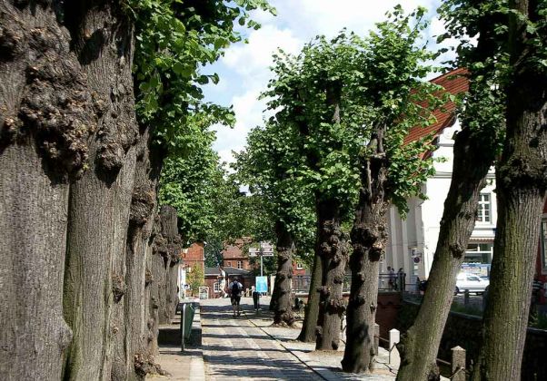 Die Frische Grube an der St. Nikolai Kirche in Wismar Die Frische Grube an der St. Nikolai Kirche in Wismar