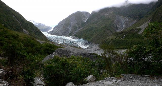Fox Glacier Valley Walk und Fox Glacier im Westland National Park, Neuseeland