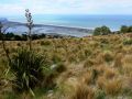 Christchurch, Südinsel Neuseeland - Blick vom Mt Pleasant auf den New Brighton Beach