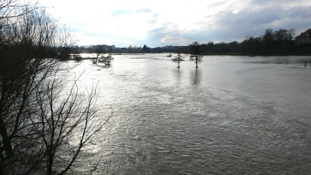 Leine-Hochwasser im Neustädter Land - in Neustadt am Rübenberge ist die Leine über die Ufer getreten