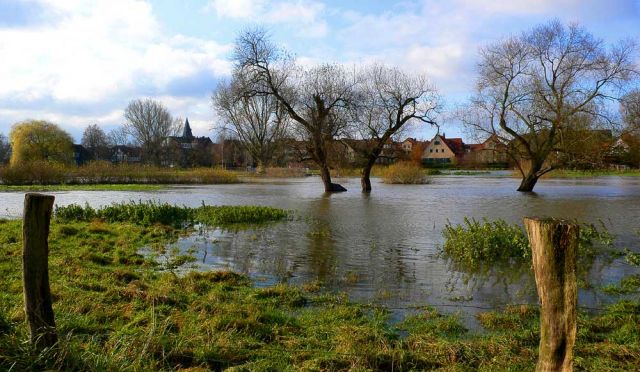 Leine-Hochwasser im Neustädter Land - am Amtswerder in Neustadt am Rübenberge ist die Leine über die Ufer getreten