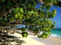 Traumreiseziel Uoleva - Insel im Archipel Ha&#039;apai, Königreich Tonga