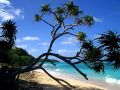 Traumreiseziel Uoleva - Insel im Archipel Ha&#039;apai, Königreich Tonga