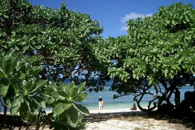 Tongatapu, Königreich Tonga - eine traumhaft schöne Badebucht am Anahulu Beach nahe der Anahulu Höhlen Tongatapu, Königreich Tonga - eine traumhaft schöne Badebucht am Anahulu Beach nahe der Anahulu Höhlen