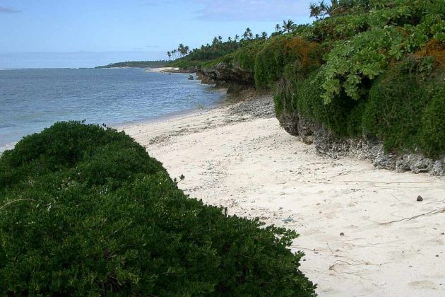 Ein Strand nahe Billy's Place, Pangai auf der Insel Lifuka im Königreich Tonga. Ein Strand nahe Billy's Place, Pangai auf der Insel Lifuka im Königreich Tonga.