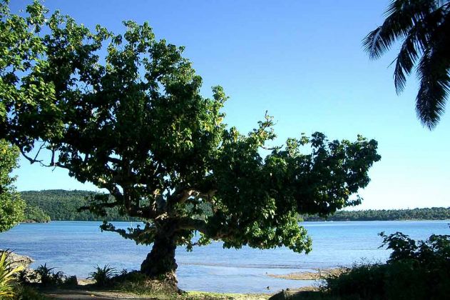 Lucky Beach - Königreich Tonga Lucky Beach - Königreich Tonga