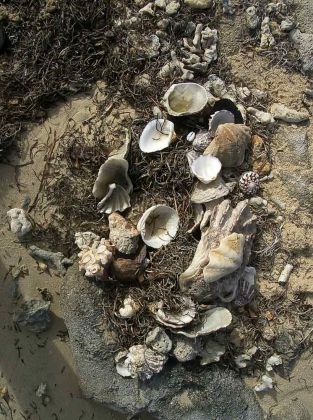 Lucky Beach - Königreich Tonga Lucky Beach - Königreich Tonga