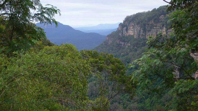 Der Blue Mountains National Park nahe Leura - New South Wales, Australia
