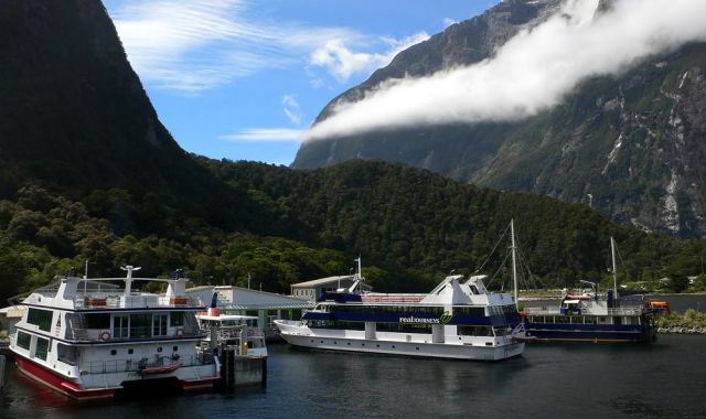 Sightseeing-Schiffe an der Milford Sound Wharf - Fjordland National Park Southwest New Zealand