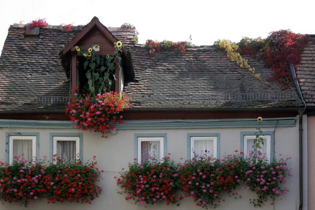 Wertheim am Main Wertheim am Main