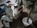 Motorroller Oldtimer - Capri