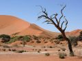 Am Soussusvlei Im Namib-Naukuft National Park in der Namib-Wüste in Namibia