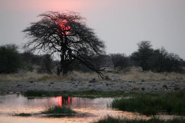 Sonnenuntergang am Wasserloch des Fort Namutoni - Etosha National Park, Namibia