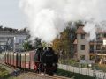 Mecklenburgische Bäderbahn Molli - der Zug mit der Dampflok 99 2321-0 beim Anstieg nach Kühlungsborn-Fulgen