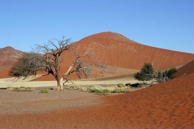 Soussusvlei und Namib-Naukuft National Park