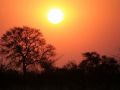 Rote Sonne Afrika... der Sonnenuntergang über dem afrikanischen Busch an der Namushasha River Lodge