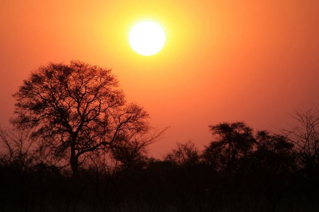 Rote Sonne Afrika... der Sonnenuntergang über dem afrikanischen Busch an der Namushasha River Lodge