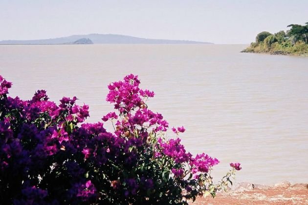 Bahir Dar - der Tana-See Bahir Dar - der Tana-See