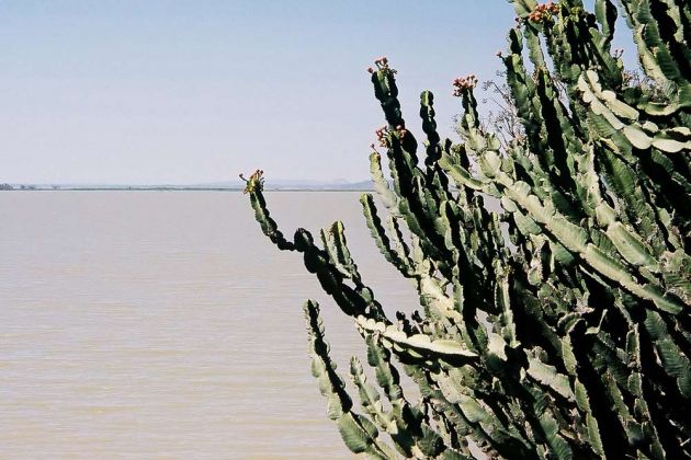 Bahir Dar - der Tana-See Bahir Dar - der Tana-See