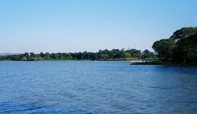 Bahir Dar - Pelikan-Kolonie am Tana-See Bahir Dar - Pelikan-Kolonie am Tana-See