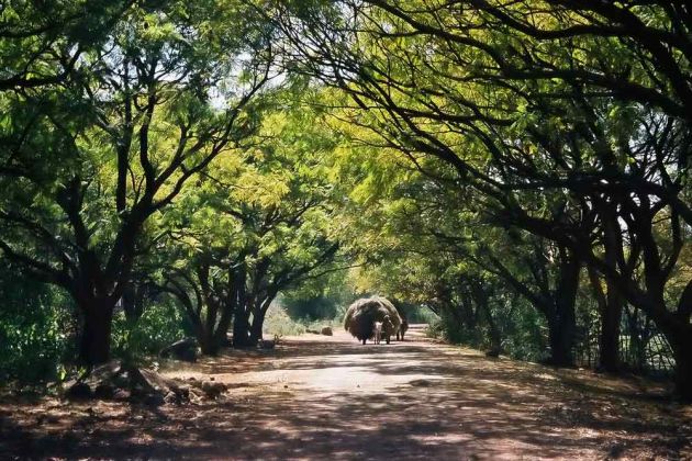 Bahir Dar - Landstrasse entlang des Blauen Nils Bahir Dar - Landstrasse entlang des Blauen Nils
