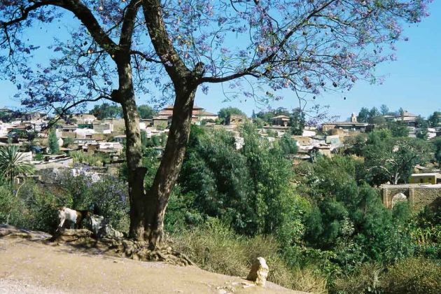 Harar, ausserhalb der Stadtmauer - Äthiopien