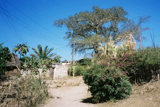 Harar, ausserhalb der Stadtmauer - Äthiopien Harar, ausserhalb der Stadtmauer - Äthiopien