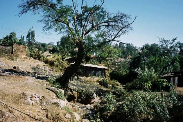 Harar, ausserhalb der Stadtmauer - Äthiopien Harar, ausserhalb der Stadtmauer - Äthiopien