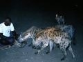 Hyänenmann, Harar, Äthiopien -  Tüpfelhyäne, Fleckenhyäne,Crocuta crocuta