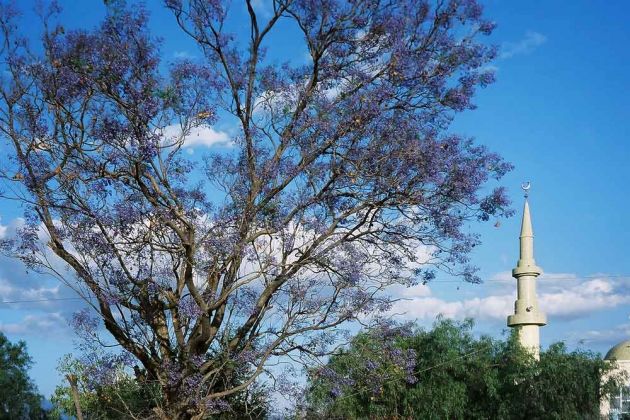 Moschee am Stadtrand von Harar - Äthiopien Moschee am Stadtrand von Harar - Äthiopien