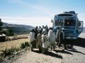 Stop nach Steinwurf auf unseren Reisebus nördlich von Gondar - Menschen unterwegs in Äthiopien
